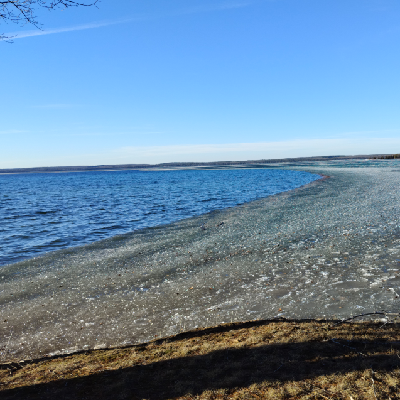 CindySue@bookstodon.com