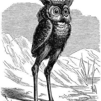 wordybirdy